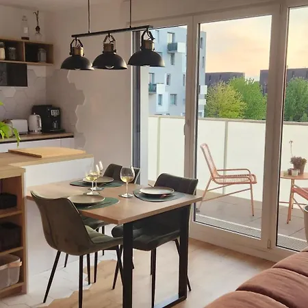 Duplex Balneo Cosy Proche Cdg Et Stade De France La Courneuve
